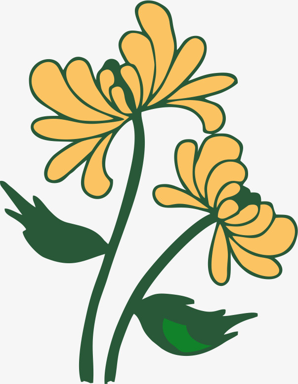彩色菊花手绘免抠