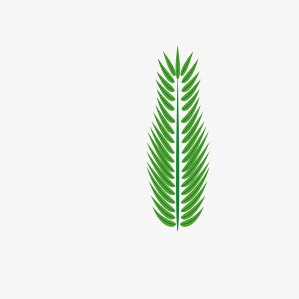 棕榈叶绿色矢量装饰免抠