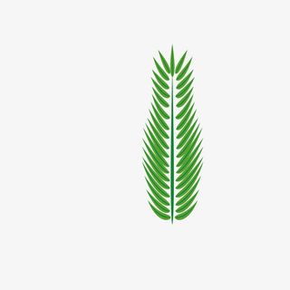 棕榈叶绿色矢量装饰免抠