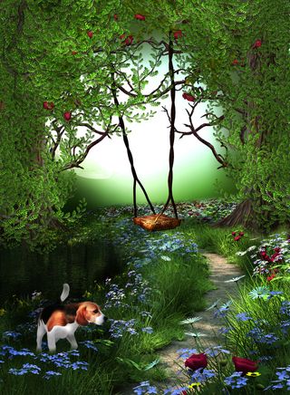 梦幻仙境卡通背景高清