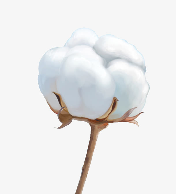 棉花免抠