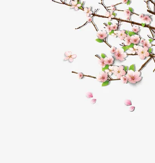 手绘桃花花枝元素免抠手绘/卡通手绘元素