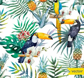 水彩花卉金刚鹦鹉高清