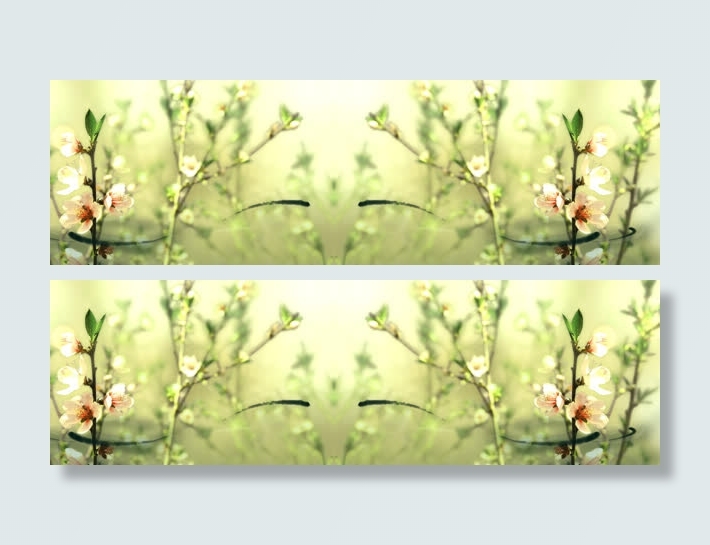 春天杏花待放虚化唯美背景banner