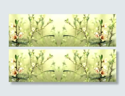 春天杏花待放虚化唯美背景banner