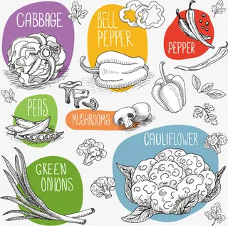 素描蔬菜矢量图免抠
