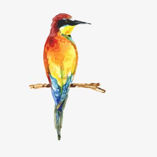 彩绘树枝上的热带鸟矢量图免抠