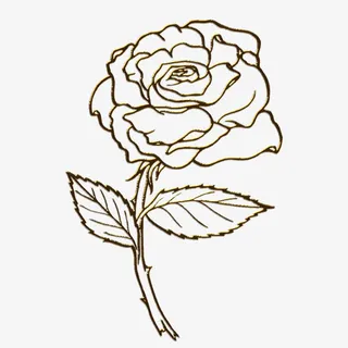 手绘玫瑰免抠
