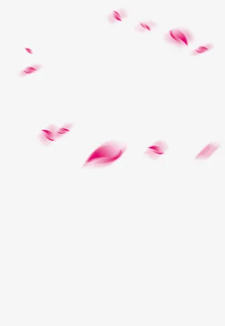 粉色花瓣免抠