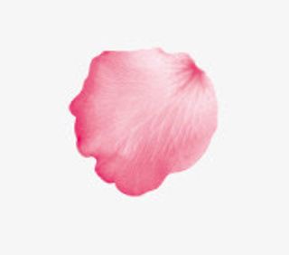 情人节妇女节三八节花瓣免抠