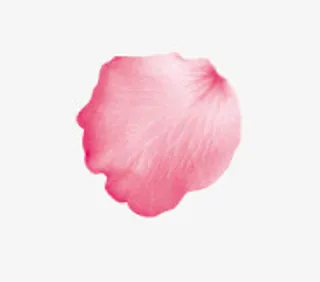 情人节妇女节三八节花瓣免抠