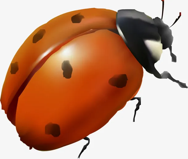 红色七星瓢虫免抠