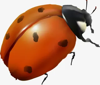 红色七星瓢虫免抠