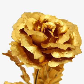 礼物玫瑰花康乃馨免抠