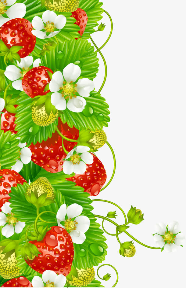 矢量横栏草莓免抠