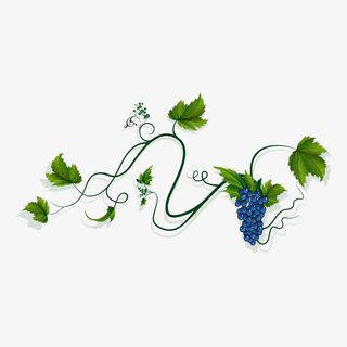 葡萄藤边框素材免抠