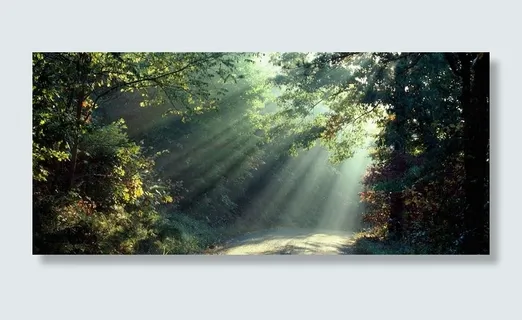 夏季绿色自然背景高清 夏季绿色自然背景高清