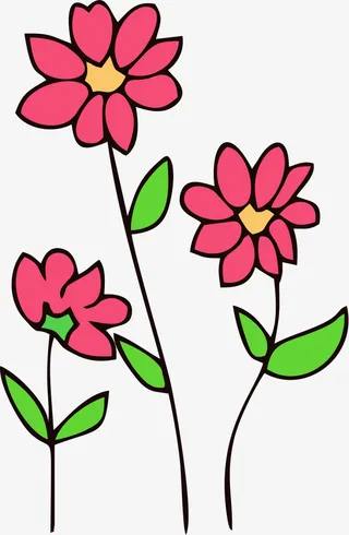 手绘波斯菊简笔画免抠