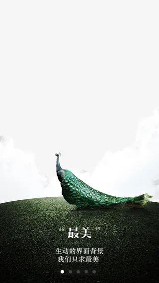 草地上的孔雀免抠