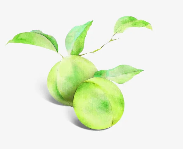 手绘青梅免抠