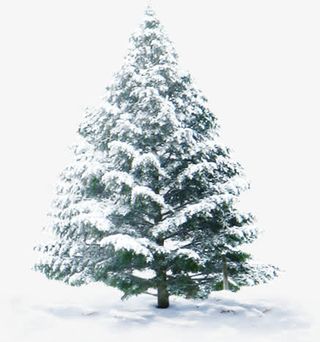 雪树雪地圣诞素材免抠