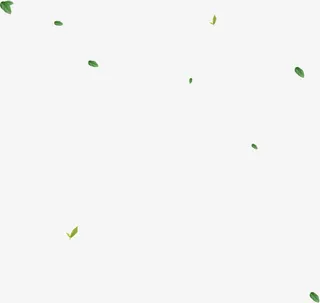 茶道中的绿叶装饰免抠