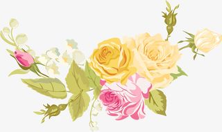 手绘多彩花朵免抠