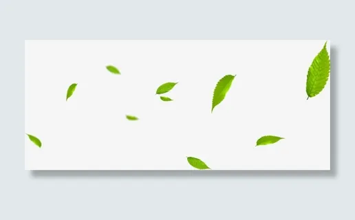 绿色漂浮叶子美景免抠 绿色漂浮叶子美景免抠