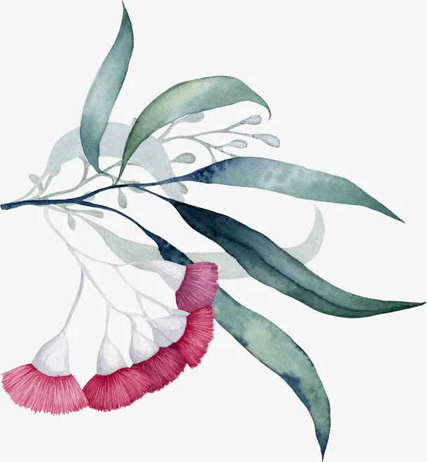 手绘清新花草花卉免抠