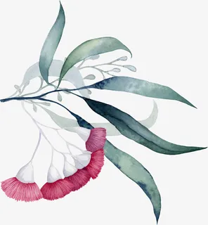 手绘清新花草花卉免抠 手绘清新花草花卉免抠