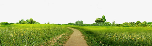 绿色草地道路装饰免抠