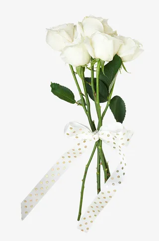 系着蝴蝶结的白色花朵免抠