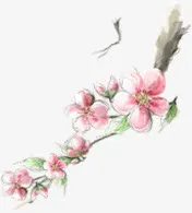 粉色古风桃花文艺树枝免抠
