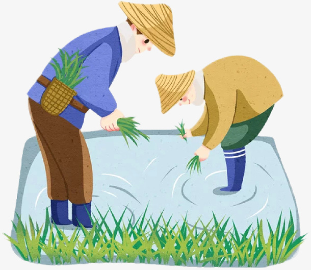 春天插秧农民免抠