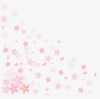 粉色美丽花瓣免抠