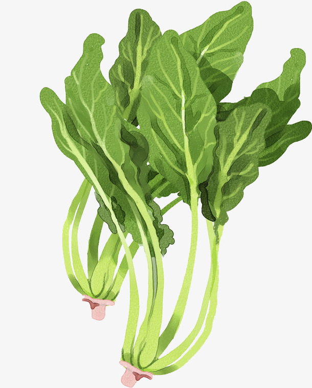 卡通绿色蔬菜免抠图免抠