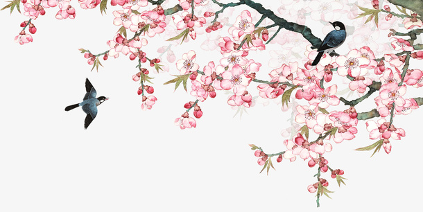 古风水墨桃花和鸟免抠手绘/卡通手绘元素