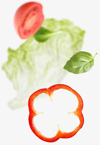 绿色叶子西红柿菜叶蔬菜免抠