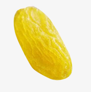 高清葡萄干免抠