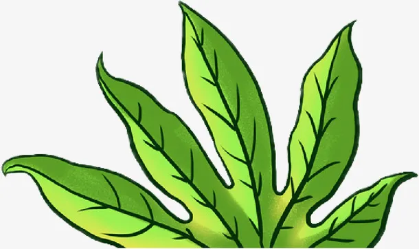 春天的叶子，免抠