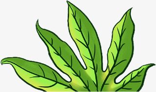 春天的叶子，免抠