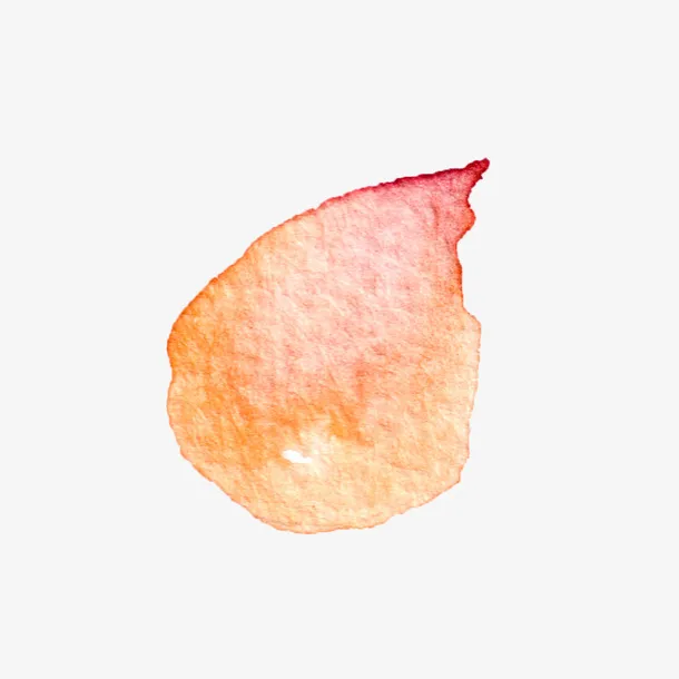 高清免抠手绘水彩花瓣素材免抠