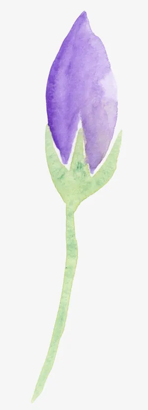 手绘水彩花装饰元素免抠