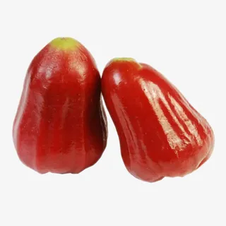 莲雾装饰图片免抠