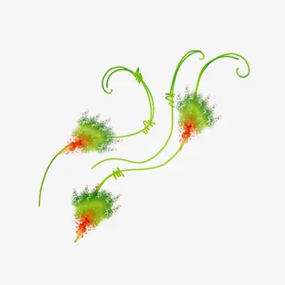 唯美绿草漂浮免抠