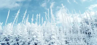 淘宝冬季保暖服装banner背景高清