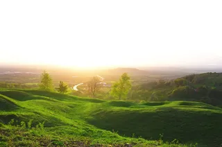 绿色凹凸草地夕阳免抠