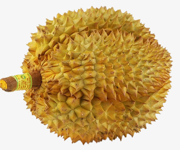 整个榴莲免抠