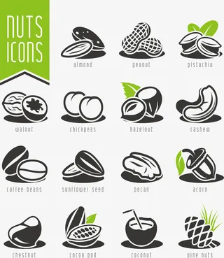 时尚坚果干果设计图标免抠标签元素