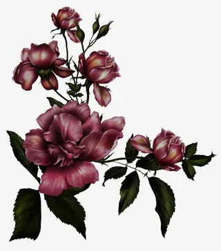 彩色花朵盛开免抠